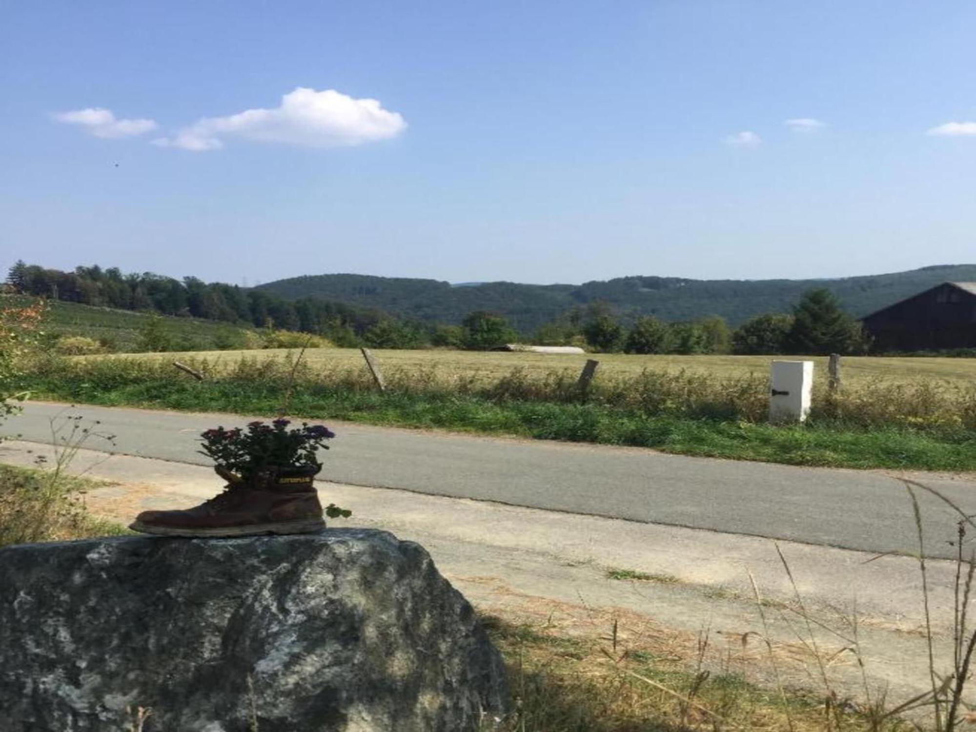 Holiday Home In Ramsbeck With Garden 贝斯特维格 外观 照片